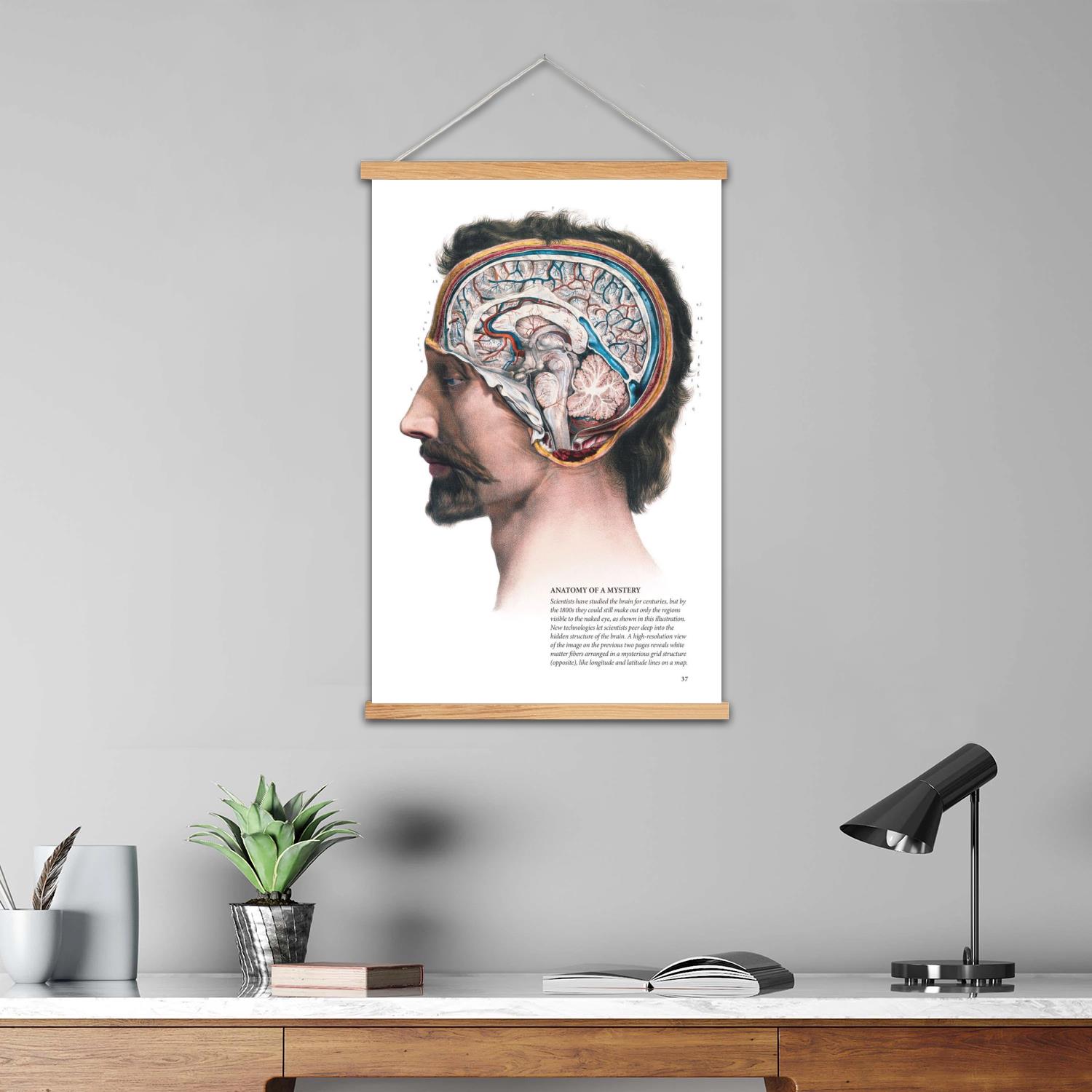 brain Framed Wall Painting Can - огляд і ціна Art Print Framed